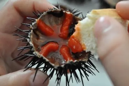 Bed and breakfast Rossani *