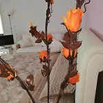 Rossani * Bari