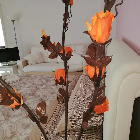 Rossani * Bari